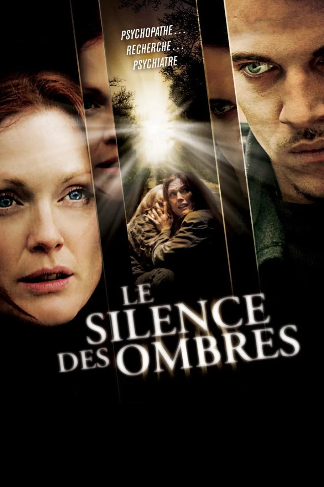 Le Silence des ombres (2010)